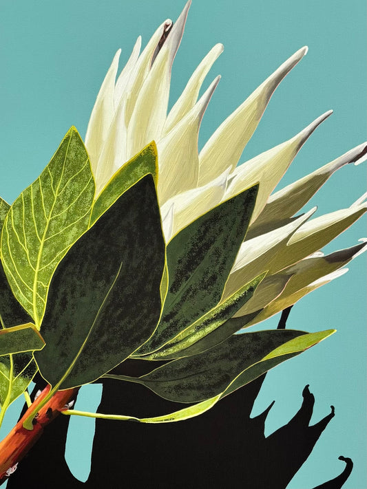 PRECIOUS PROTEA  - Large A1 - 594mm x 841mm Canvas framed Print (Image Shown)