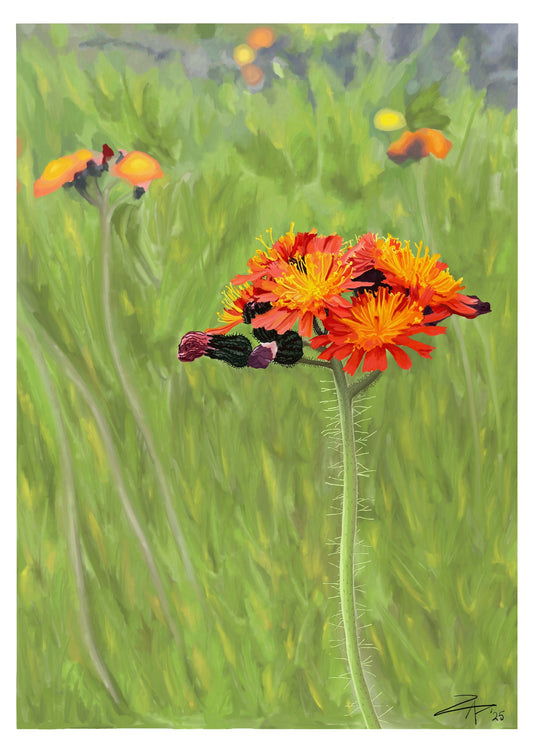 FURRY FLEUR  - Large A1 - 594mm x 841mm  Enhanced Matte Paper Print (Image shown)