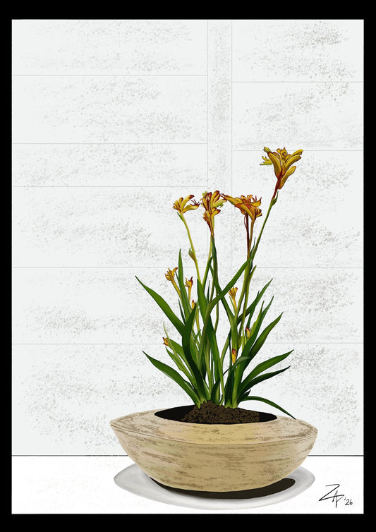 PAUSE FOR KANGAROO PAWS - Medium A2 - 420mm x 594mm  Enhanced Matte Paper Print (Image shown)